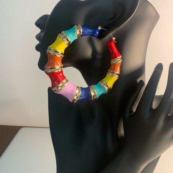 Multi Colored Hoop Earrings - Picture 3 of 3